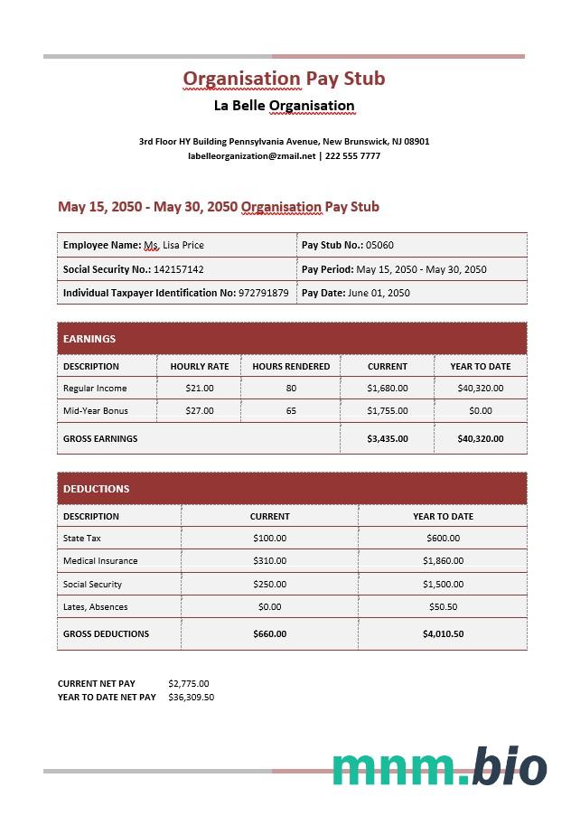 La Belle Organisation Paystub Word and PDF template